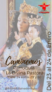 Caminemos con la Divina Pastora Visita 166
