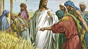 Dom27Jul2025 Dom27Jul2025